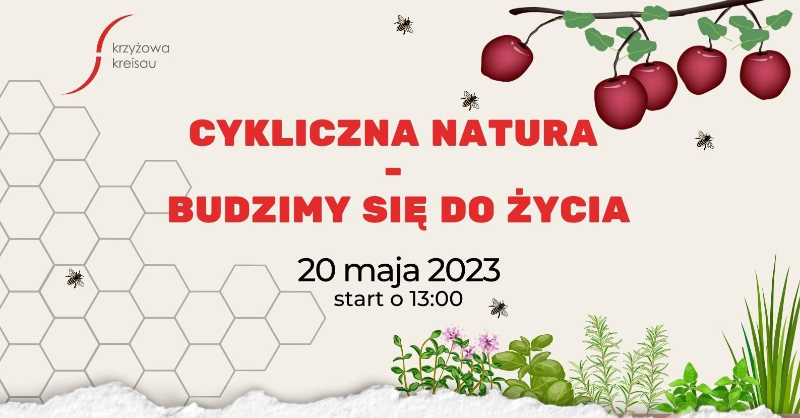 Darmowe warsztaty! Cykliczność natury - budzimy się do życia